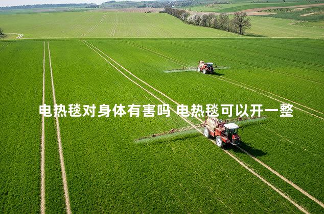 电热毯对身体有害吗 电热毯可以开一整夜吗